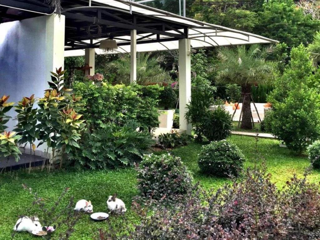 V Valley Resort Satun Exterior photo
